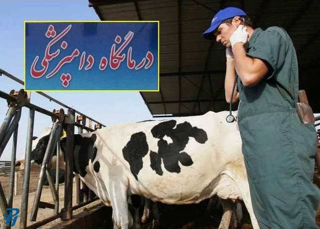 گزارش ویژه حکیم مهر درباره مشکلات کلینیسین‌های دامپزشکی