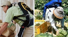 استفاده سالمندان ژاپنی از اسکلت خارجی برای عدم بازنشستگی