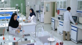 محصول جدید "دعبید" روانه بازار می‌شود