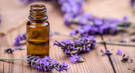 اسطوخودوس؛ از کاهش دردهای بعد از زایمان تا توقف ریزش مو و تقویت حافظه
