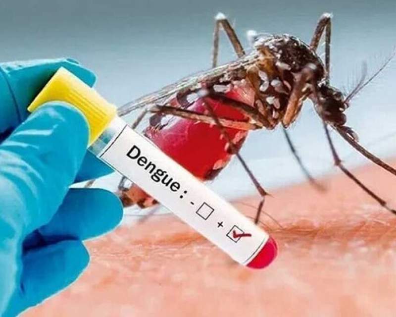 هشدار؛ زنگ خطر یک بیماری خطرناک در استان فارس