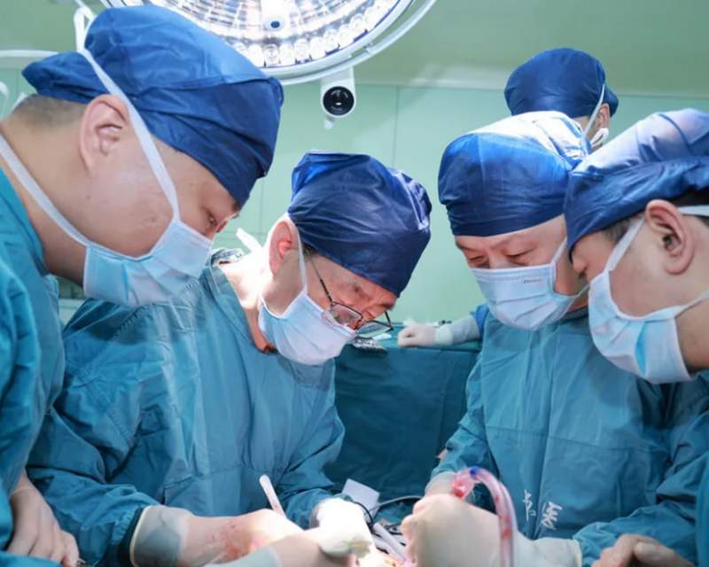 دستاورد بزرگ چینی‌ها در زمینه پیوند کبد خوک اصلاح ژنتیکی شده به انسان