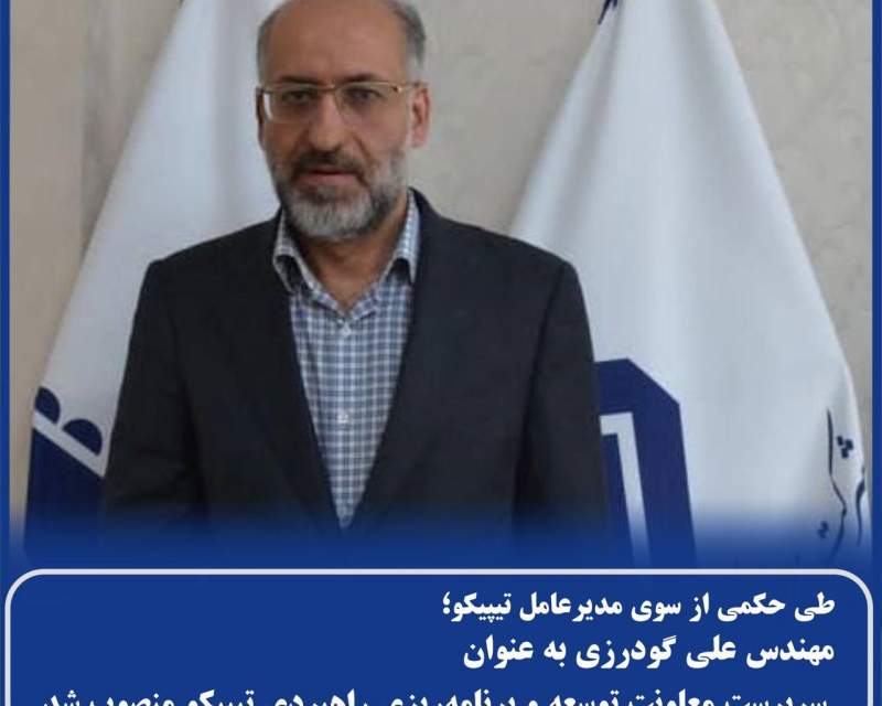 علی گودرزی معاون توسعه و برنامه‌ریزی راهبردی تیپیکو شد