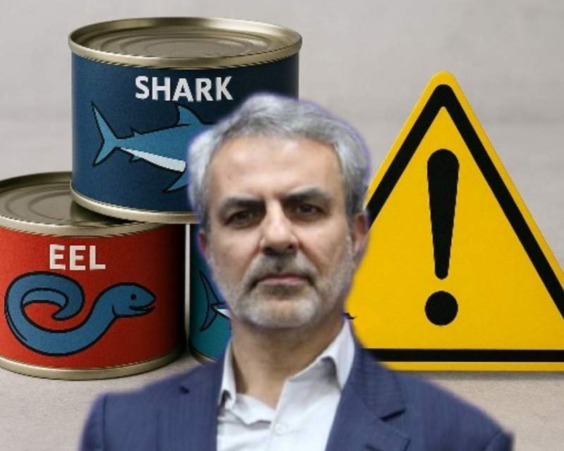 فلزات سنگین در ماهی‌های حرام‌گوشت؛ خطری پنهان در بازار کنسرو ماهی