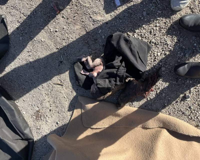 تصاویر وحشتناکی که مدیر روابط عمومی وزارت بهداشت از جنایات رژیم صهیونیستی به اشتراک گذاشت