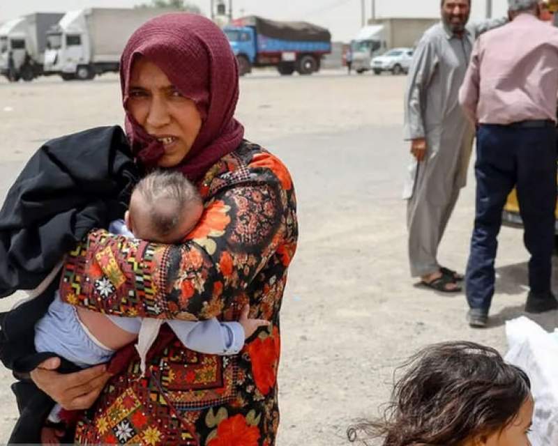 خروج اتباع غیرقانونی افغانستانی تاثیر چندانی بر بازار شیرخشک ندارد