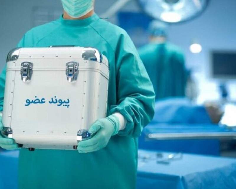 اهدای اعضای بدن مرد شیروانی، جان سه بیمار را نجات داد
