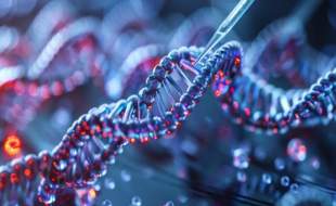 نخستین فرآورده کارتی سل کشور امسال ثبت می‌شود