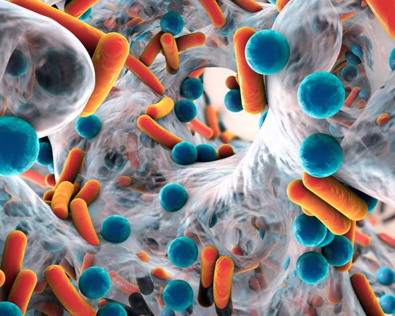 مقابله با مقاومت آنتی‌بیوتیکی فوریت سلامت ملی است