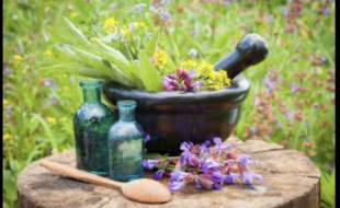 هشدار درباره فروش گیاه سمی آقونیطون به‌ جای جدوار در عطاری‌ها