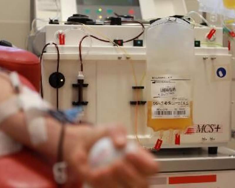 مداقه‌ای درباره رفع تعهدات ارزی مربوط به قراردادهای پالایش پلاسما