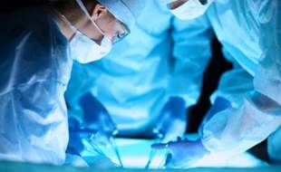 پست‌تر از حیوان