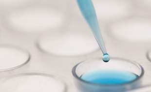 شناسایی نوع وحشی ویروس فلج اطفال در فاضلاب آلمان