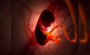 مهر و موم مطب یک متخصص زنان و زایمان سقط کننده جنین در یزد