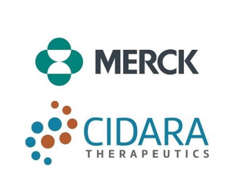 مرک صاحب یک داروی آزمایشی اما پُرپتانسیل آنفلوآنزا شد