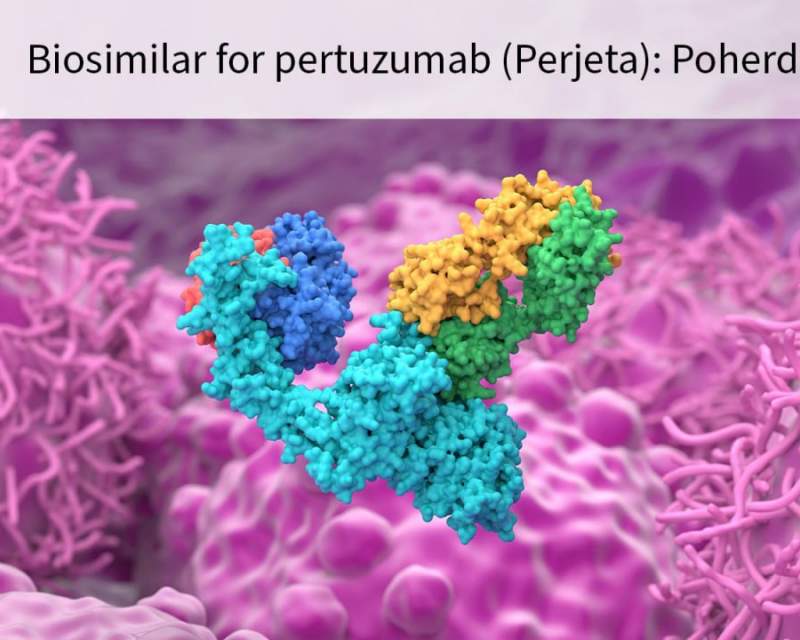 سازمان غذا و دارو آمریکا نخستین بایوسیمیلار داروی پرجتا را تائید کرد