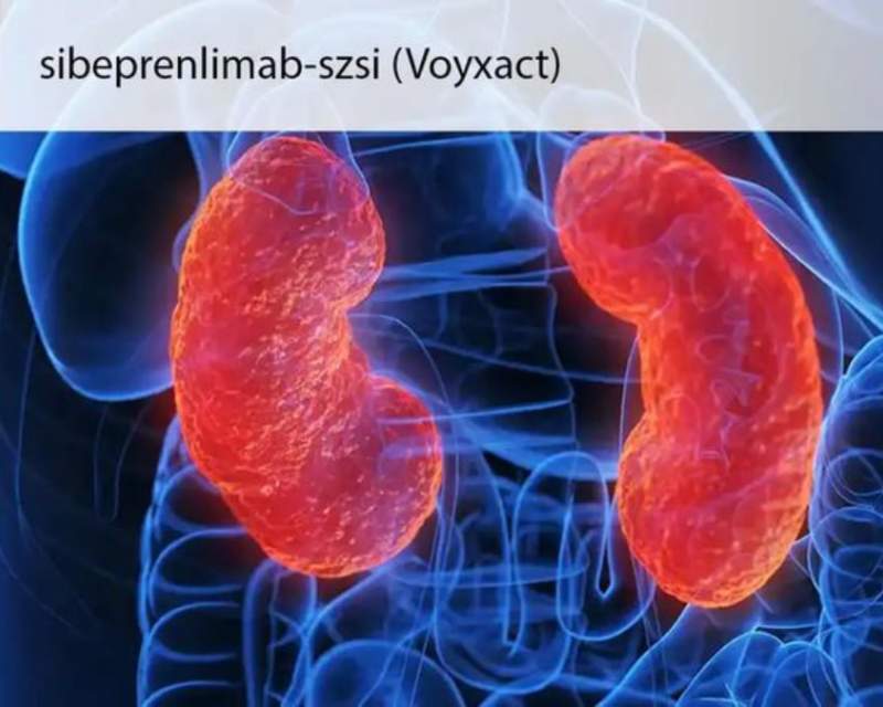 داروی شرکت ژاپنی اُتسوکا برای درمان نفروپاتی ایمونوگلوبولین آ اولیه تائید شد