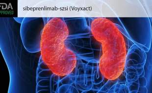 داروی شرکت ژاپنی اُتسوکا برای درمان نفروپاتی ایمونوگلوبولین آ اولیه تائید شد