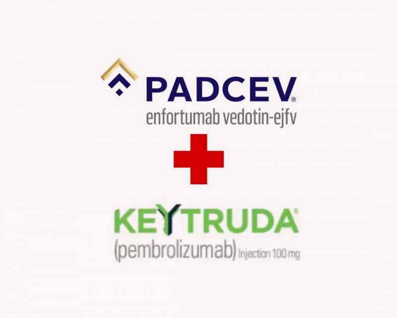 ترکیب دارویی پادسو و کیترودا برای درمان بیماران مبتلا به نوعی سرطان مثانه تائید شد