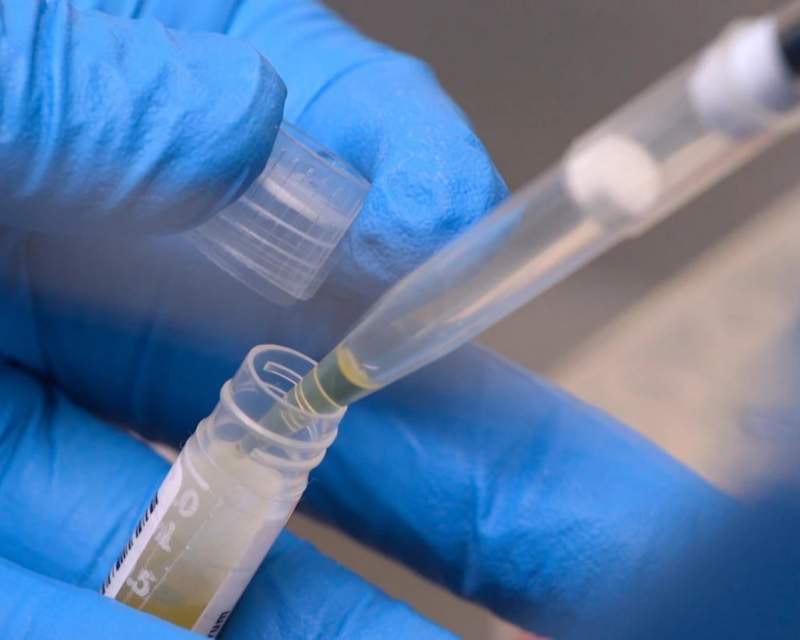 کاهش بودجه تحقیقات پزشکی در آمریکا و بلاتکلیفی بیش از ۷۴ هزار بیمار