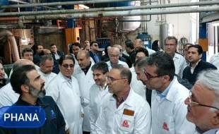 کشت کنترل شده شقایق الیفرا، تنها راهکار